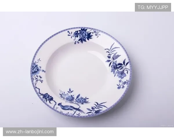 色碟在餐桌装饰中的应用技巧，提升整体用餐体验