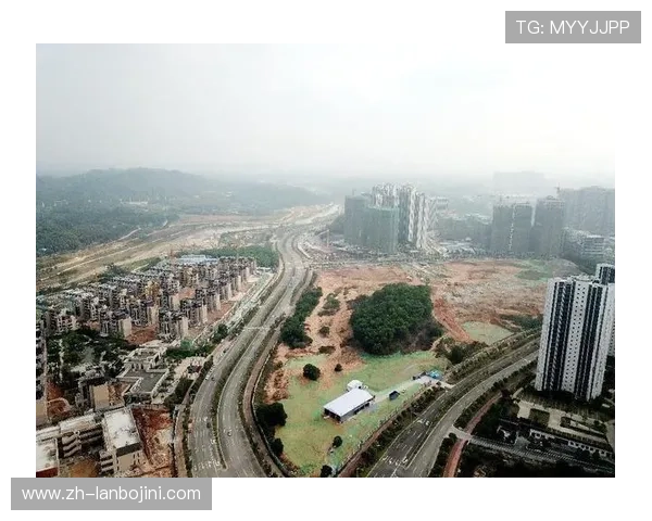 明珠国际：多元化产业集聚地，助力企业快速成长与发展